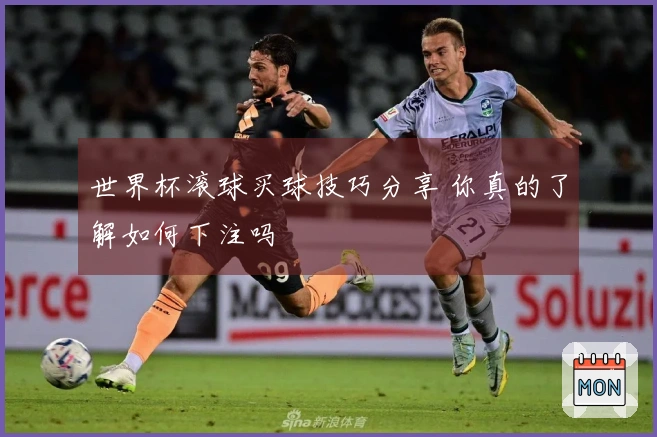 世界杯滚球买球技巧分享 你真的了解如何下注吗