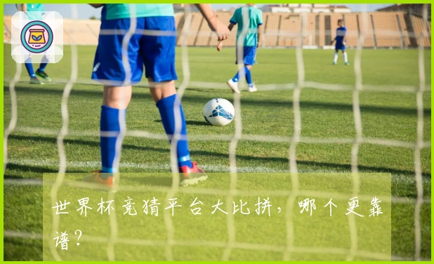 世界杯竞猜平台大比拼，哪个更靠谱？