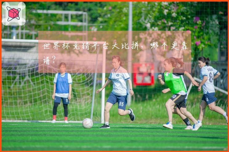 世界杯竞猜平台大比拼，哪个更靠谱？