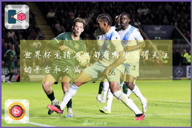 世界杯竞猜入口都有哪些值得关注的平台和方式