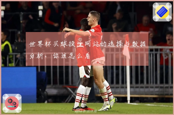世界杯买球投注网站的选择与数据分析，你该怎么看