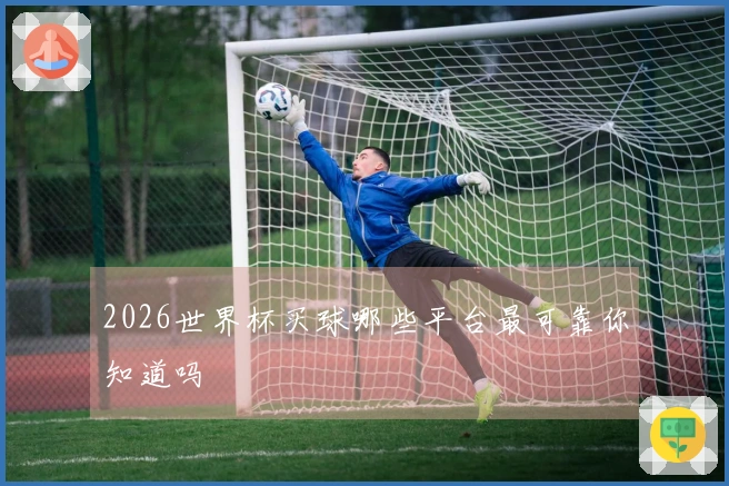 2026世界杯买球哪些平台最可靠你知道吗