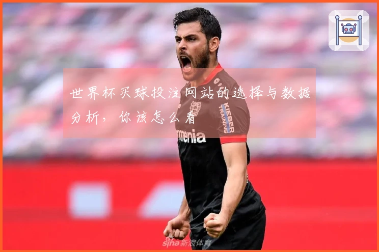 世界杯买球投注网站的选择与数据分析，你该怎么看